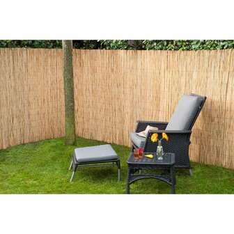 Nature Tuinschermen 2 st 500x150 bamboo riet 8719883567501 2