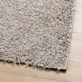 Vloerkleed PAMPLONA shaggy hoogpolig modern 100x200 cm beige 8721012228115 4