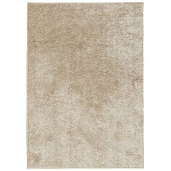 Vloerkleed ISTAN hoogpolig glanzend 160x230 cm beige 8721012232556 2