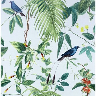 DUTCH WALLCOVERINGS Behang Exotic Garden blauw en groen 5050192921695 2