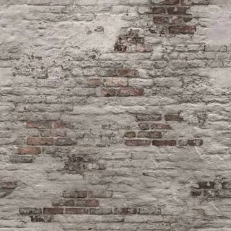 DUTCH WALLCOVERINGS Fotobehang Old Brick Wall grijs 5411012430153 1