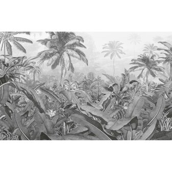 Komar Fotobehang Amazonia Black and White 400x250 cm 4055065150081 2