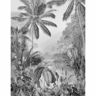 Komar Fotobehang Lac Tropical Black &amp; White 200x270 cm 4055065301292 2