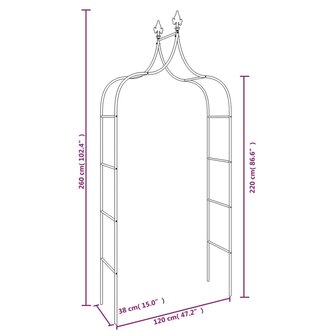 Tuinbogen 2 st 120x38x260 cm staal zwart 8720845670351 7