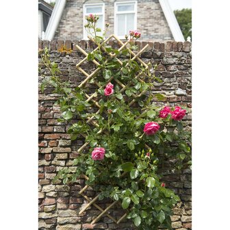 Nature Latwerk voor tuin 45x180 cm bamboe 6040720 8711338407202 3