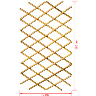 Nature Latwerk voor tuin 70x180 cm bamboe 6040721 8711338407219 7