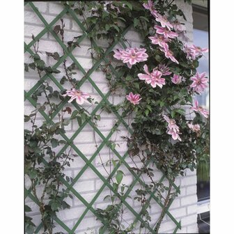 Nature Tuinlatwerk 50x150 cm PVC groen 6040702 8711338407028 2