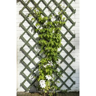 Nature Tuinlatwerk 50x150 cm hout groen 8711338417027 2