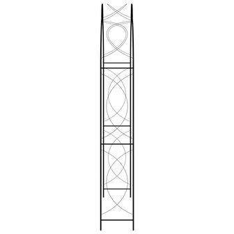 Tuinboog 150x34x240 cm ijzer zwart 8719883757377 3