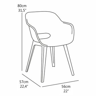 Keter Tuinstoelen Akola 2 st vintage-groen 2