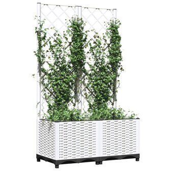 Plantenbak met latwerk 80x40x136 cm polypropeen wit 3