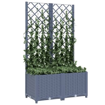 Plantenbak met latwerk 80x40x136 cm polypropeen donkergrijs 3