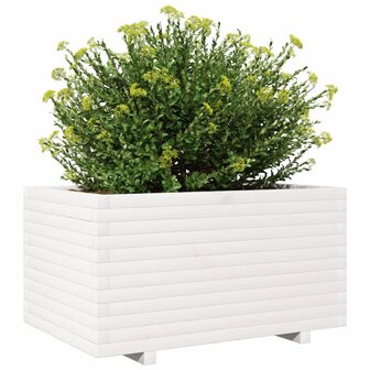 Plantenbak 90x60x49,5 cm massief grenenhout wit 4