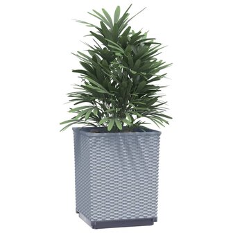 Plantenbakken 2 st 30x30x37 cm polypropeen lichtgrijs 3