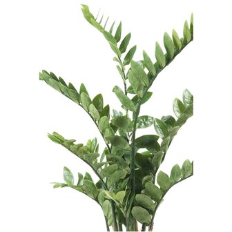 Emerald Kunstplant zamioculcas groen 110 cm 11.662C 2