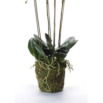 Emerald Kunstplant orchidee met mos wit 90 cm 20.355 3