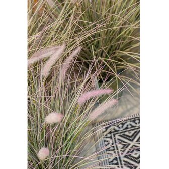 Emerald Kunstplant pennisetum groen 71 cm 418155 5