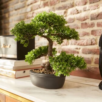 Emerald Kunstplant mini bonsai ficus groen 32 cm 420002 1