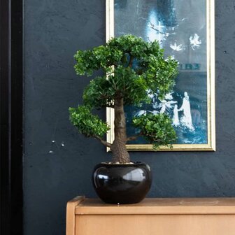 Emerald Kunstplant mini bonsai ficus groen 47 cm 420006 1