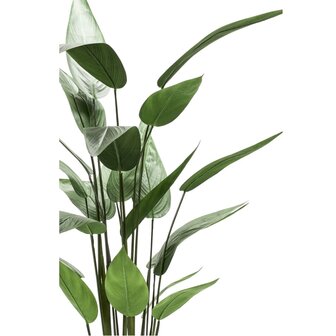 Emerald Kunstplant heliconia plant groen 125 cm 419837 3