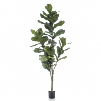 Emerald Kunstplant vioolbladplant 160 cm 2