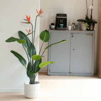 Emerald Kunstplant met pot en bloemen Strelitzia 120 cm 1