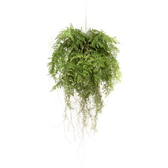 Emerald Kunstvaren hangend met wortels 55 cm 2