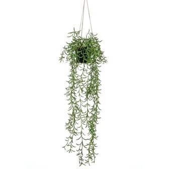 Emerald Kunstplant hangend in pot senecio 70 cm 1