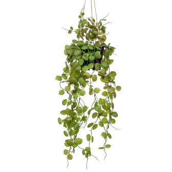 Emerald Kunstplant hangend in pot lantaarnplant 50 cm 2