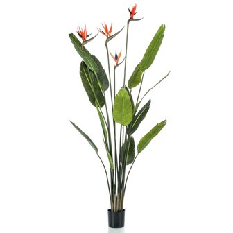 Emerald Kunstplant in pot strelitzia met 4 bloemen 150 cm 2