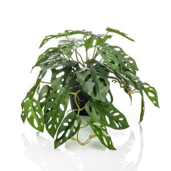 Emerald Kunstplant in pot Monkey monstera struik 55 cm 1