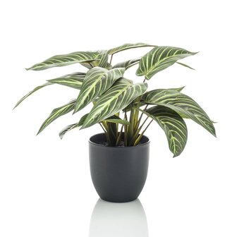 Emerald Kunstplant in pot Zebrina calathea 38 cm 1