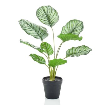 Emerald Kunstplant in pot calathea orbifolia 45 cm 1