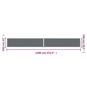 Windscherm uittrekbaar 160x1200 cm antracietkleurig 8