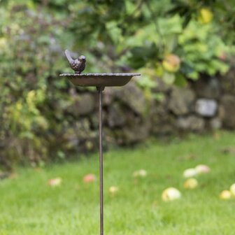 HI Vogelbadje/drinkbak gietijzer bruin 4