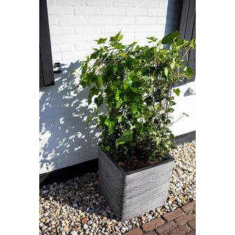 Capi Plantenbak Nature Rib vierkant 30x30 cm antraciet KOFZ902 10