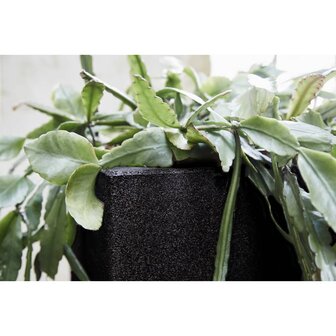 Capi Plantenbak Urban Smooth vierkant 30x30x30 cm zwart KBL902 7