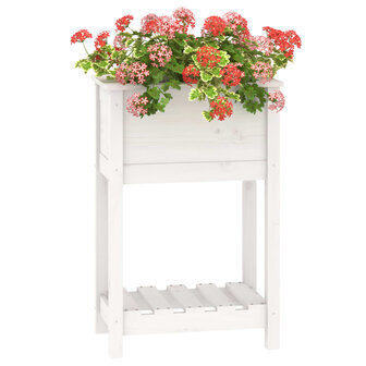 Plantenbak met schap 54x34,5x81 cm massief grenenhout wit 4