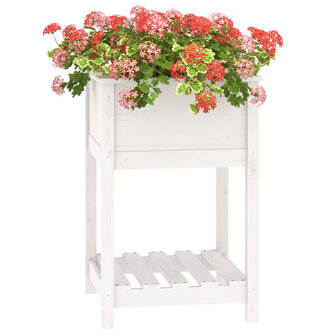 Plantenbak met schap 54x54x81 cm massief grenenhout wit 4