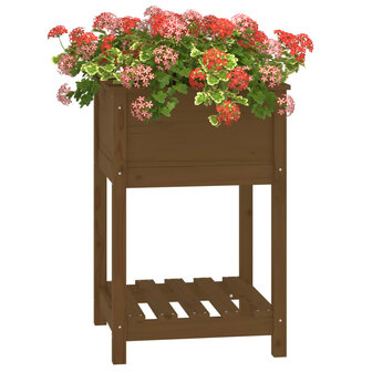 Plantenbak met schap 54x54x81 cm grenenhout honingbruin 4