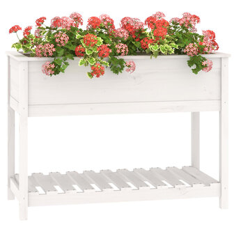 Plantenbak met schap 111,5x54x81 cm massief grenenhout wit 4