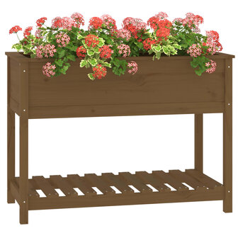 Plantenbak met schap 111,5x54x81 cm grenenhout honingbruin 4