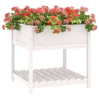 Plantenbak met schap 82,5x82,5x81 cm massief grenenhout wit 4