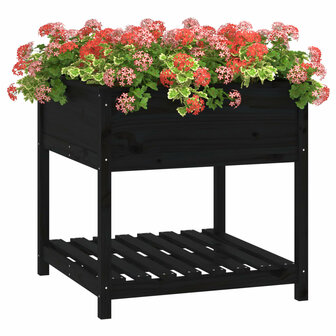 Plantenbak met schap 82,5x82,5x81 cm massief grenenhout zwart 4