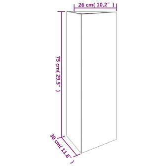 Plantenbak 30x26x75 cm cortenstaal 8