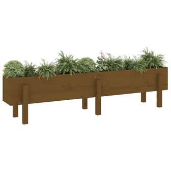 Plantenbak verhoogd 160x30x38 cm massief grenenhout honingbruin 3