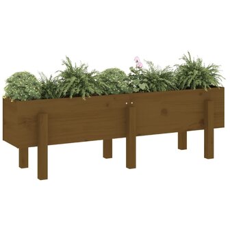 Plantenbak verhoogd 121x30x38 cm massief grenenhout honingbruin 3