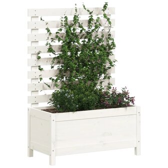 Plantenbak met rek 79x39,5x114 cm massief grenenhout wit 3