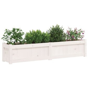 Plantenbak 150x31x31 cm massief grenenhout wit 4