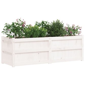 Plantenbak 150x50x50 cm massief grenenhout wit 4